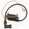 (yng)CY80c(din)Ȧ Ħ܇߉IGNITION COIL